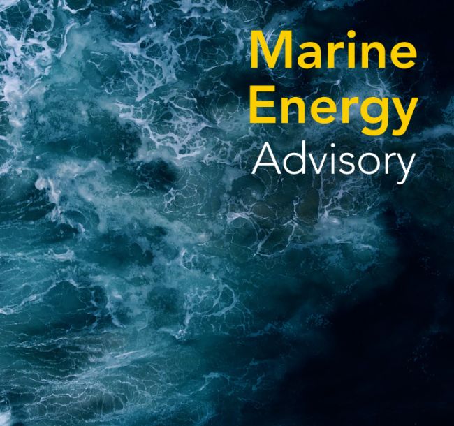 Marine Energy Advisory | Support through TEAMER network