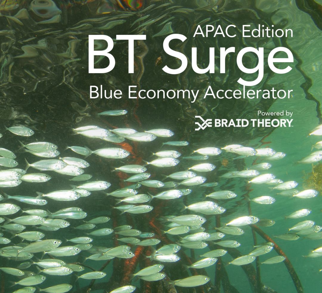 BT Surge | APAC Edition | Blue Economy Accelerator